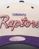 Mitchell & Ness Toronto Raptors "Cream Team Script" Pro Crown Snapback Cream
