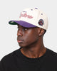 Mitchell & Ness Toronto Raptors "Cream Team Script" Pro Crown Snapback Cream