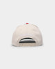 Mitchell & Ness Chicago Bulls "Cream Team Script" Pro Crown Snapback Cream