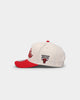 Mitchell & Ness Chicago Bulls "Cream Team Script" Pro Crown Snapback Cream