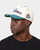 Mitchell & Ness Detroit Pistons "Cream Team Script" Pro Crown Snapback Cream