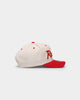 Mitchell & Ness Houston Rockets "Cream Team Script" Pro Crown Snapback Cream