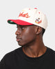 Mitchell & Ness Houston Rockets "Cream Team Script" Pro Crown Snapback Cream