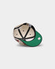 Mitchell & Ness Philadelphia Sixers "Cream Team Script" Pro Crown Snapback Cream