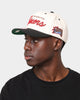 Mitchell & Ness Philadelphia Sixers "Cream Team Script" Pro Crown Snapback Cream