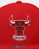 Mitchell & Ness Chicago Bulls 'Team Ground 2.0 Hardwood Classics' Fitted Red