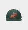 Mitchell & Ness Seattle Sonics 'Team Ground 2.0 Hardwood Classics' Fitted Green