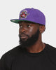 Mitchell & Ness Toronto Raptors 'Team Ground 2.0 Hardwood Classics' Fitted Purple