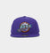 Mitchell & Ness Utah Jazz 'Team Ground 2.0 Hardwood Classics' Fitted Purple