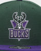 Mitchell & Ness Milwaukee Bucks 'Team 2 Tone 2.0 Hardwood Classics' Fitted Green