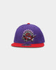 Mitchell & Ness Toronto Raptors 'Team 2 Tone 2.0 Hardwood Classics' Fitted Purple