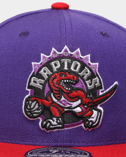 Mitchell & Ness Toronto Raptors 'Team 2 Tone 2.0 Hardwood Classics' Fitted Purple