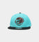 Mitchell & Ness Vancouver Grizzlies 'Team 2 Tone 2.0 Hardwood Classics' Fitted Teal