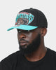 Mitchell & Ness Memphis Grizzlies 'Hardwood XL Crop Logo' Pro Crown Snapback Black