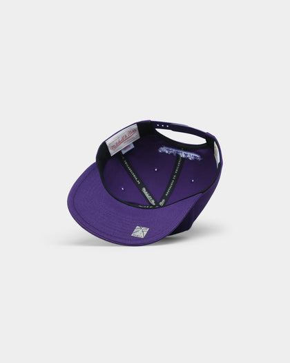 Mitchell & Ness Charlotte Hornets 'Easy Win' Pro Crown Snapback Original Team Colours