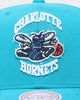 Mitchell & Nest Charlotte Hornets 'Easy Win' Pro Crown Snapback Teal