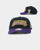Mitchell & Ness Los Angeles Lakers 'Retro Script' Deadstock Snapback Black/Purple
