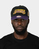 Mitchell & Ness Los Angeles Lakers 'Retro Script' Deadstock Snapback Black/Purple