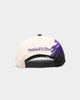 Mitchell & Ness Toronto Raptors 'Cream Paintbrush' Deadstock Snapback Cream