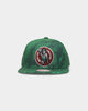 Mitchell & Ness Boston Celtics 'Down For All' Original Fit Snapback Green