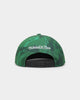 Mitchell & Ness Boston Celtics 'Down For All' Original Fit Snapback Green