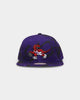 Mitchell & Ness Toronto Raptors 'Down For All' Original Fit Snapback Purple