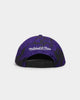 Mitchell & Ness Toronto Raptors 'Down For All' Original Fit Snapback Purple