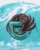 Mitchell & Ness Memphis Grizzlies 'Down For All' Original Fit Snapback Teal