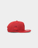 Mitchell & Ness Chicago Bulls 'Monochrome' Original Fit Snapback Red