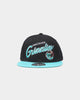 Mitchell & Ness Vancouver Grizzlies 'Team Script 2.0 Hardwood Classics' Fitted Black