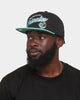 Mitchell & Ness Vancouver Grizzlies 'Team Script 2.0 Hardwood Classics' Fitted Black