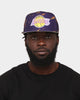 Mitchell & Ness Los Angeles Lakers 'Down For All' Original Fit Snapback Purple