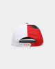 New Era Toronto Raptors Paint Stripe Old Golfer Snapback Paint Brush/Kelly Green/Red