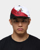 New Era Miami Heat Paint Stripe Old Golfer Snapback Paint Brush
