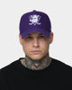 47 Brand Anaheim Ducks 'Purple Haze' MVP DT Snapback Purple