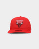 New Era Chicago Bulls Old Golfer Snapback Otc/Kelly Green