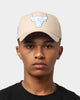 New Era Chicago Bulls 'Sandy Skies' 9FORTY A-Frame Snapback Tumbleweed/Sky