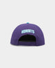 New Era Charlotte Hornets 'Retro Script' Original Fit 9FIFTY® Snapback OTC