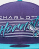 New Era Charlotte Hornets 'Retro Script' Original Fit 9FIFTY® Snapback OTC