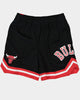 NBA Kids' Chicago Bulls Ally Oop Mesh Shorts Black