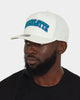 Mitchell & Ness Charlotte Hornets 'Vintage White' Classic Red Snapback White