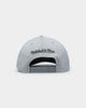 Mitchell & Ness Chicago Bulls 'Greytones' Classic Red Snapback Grey