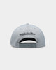 Mitchell & Ness Milwaukee Bucks 'Greytones' Classic Red Snapback Grey