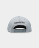 Mitchell & Ness Philadelphia 76ers 'Greytones' Classic Red Snapback Grey