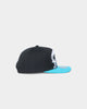 Mitchell & Ness Charlotte Hornets 'Hardwood XL Crop Logo' Pro Crown Snapback Black