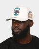 Mitchell & Ness Charlotte Hornets 'Hardwood Classics Patch' Classic Red Snapback Cream