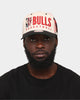 Mitchell & Ness Chicago Bulls '90s Training Camp' Pro Crown Snapback Cream