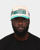 Mitchell & Ness Vancouver Grizzlies '96 Draft' Pro Crown Snapback Off White