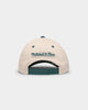 Mitchell & Ness Miami Dolphins Pro Crown Snapback Off White