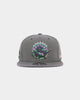 Mitchell & Ness Toronto Raptors 'From Dusk' Fitted Grey